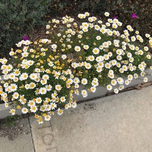 Meet your Posher, Ethan